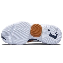 Nike LeBron 16 - Chaussure Hommage Légende Vivante