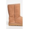 UGG Classic Short II 1016223 | Bottes Tendances